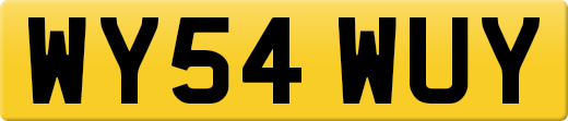 WY54WUY